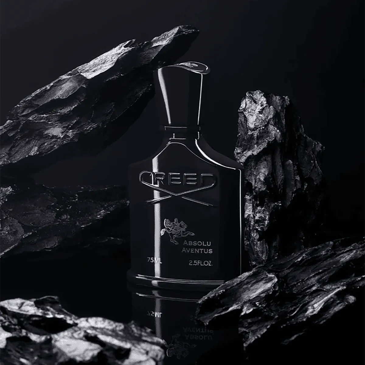 Creed Aventus Absolu sur roche noire